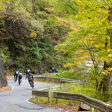 Cycling quiet roads in Nagano