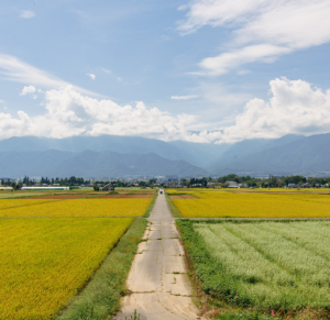 flat roads in Azumino through fields with views of mountains