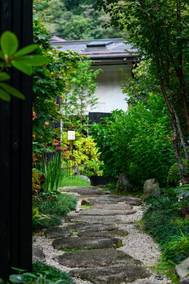 Japanese garden path