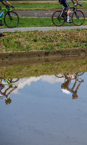 Nagano cycling views in paddy fields