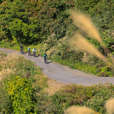 Quiet green mountain cycling road in Nagano