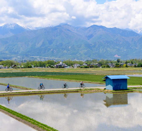 Nagano's mountains and rice paddies, with cyclists bike riding through