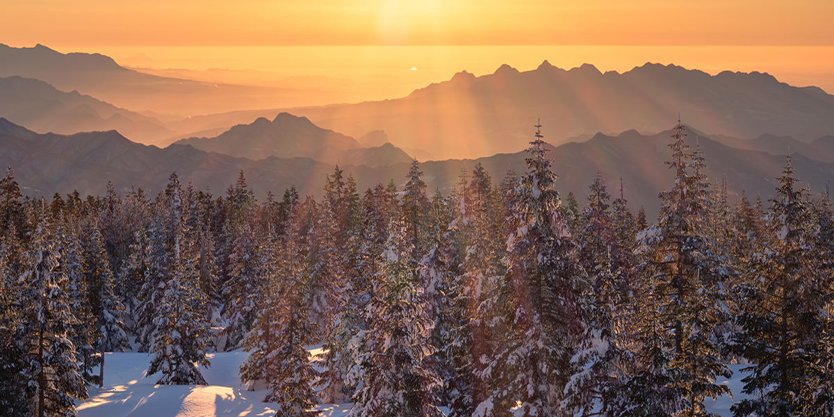 Nagano mountains and snow covered trees at sunrise Japan