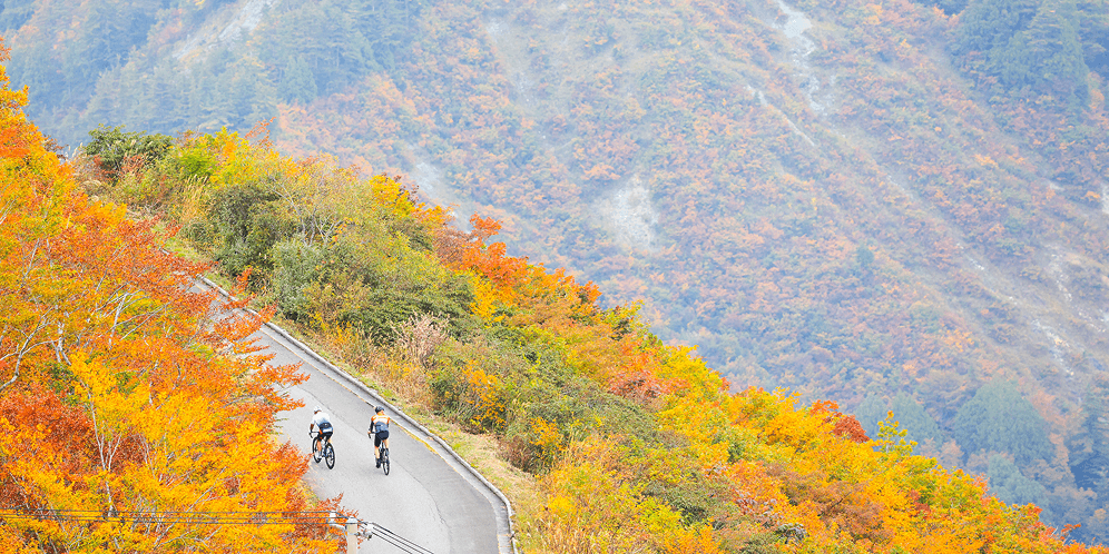 Autumn leaves cycling in Nagano, Japan
